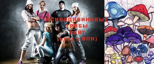 2c-b Алексеевка
