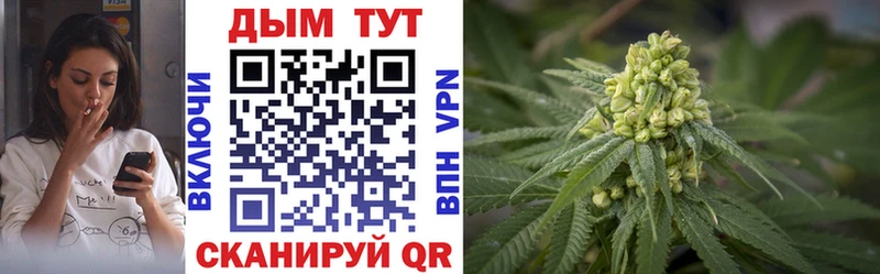 Шишки марихуана гибрид Новокубанск